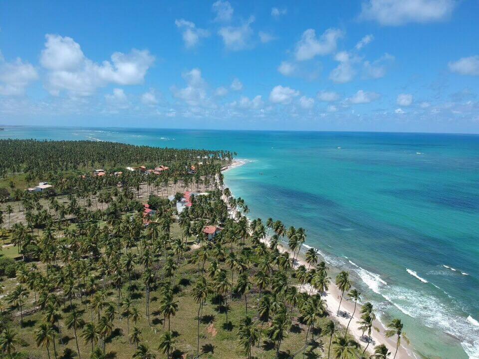 Carneiro Beach Resort 305 Tamandaré Zewnętrze zdjęcie